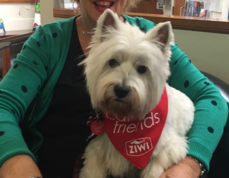 Maisie Visits Our Patients