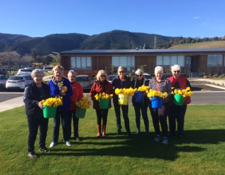 Daffodil Day Helpers