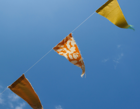 Wind Behind The Flags