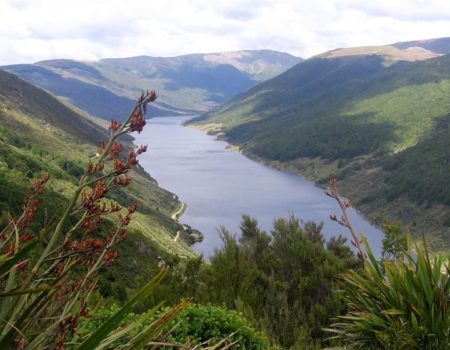 Cob Valley, Golden Bay. Image From NZ Department Of Conservation